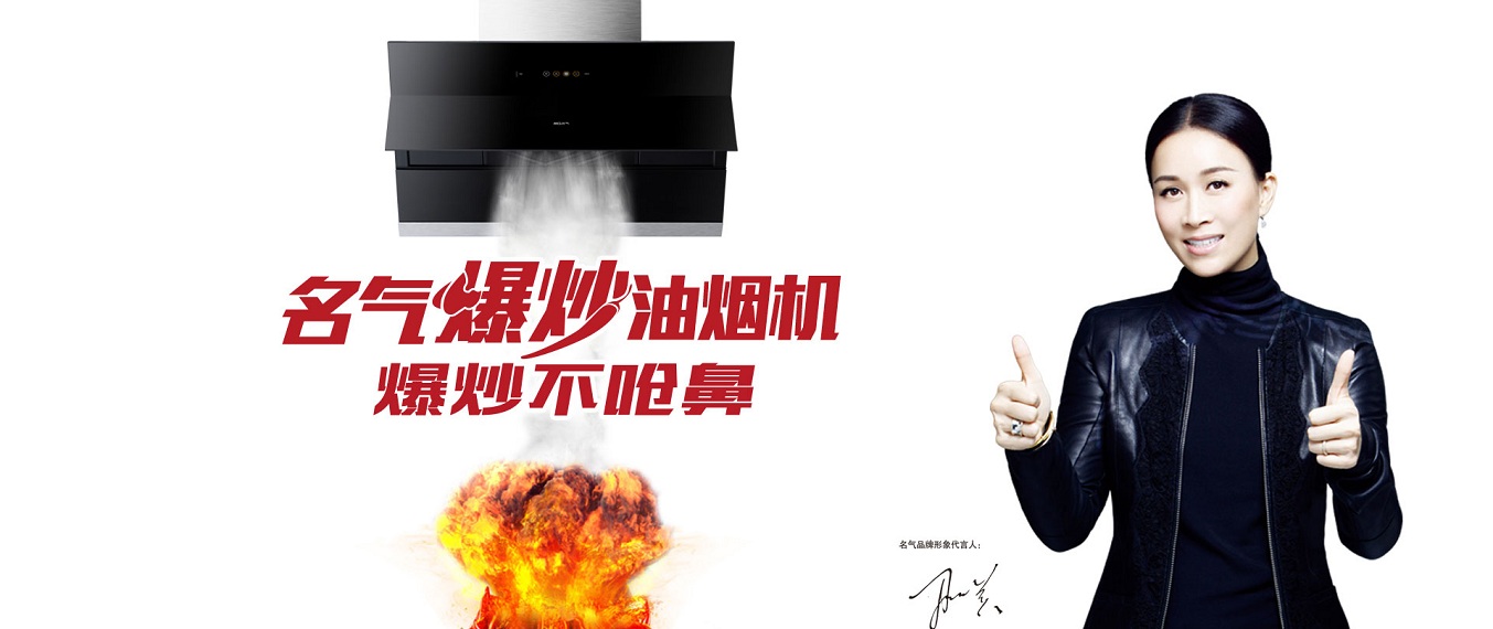 918博天堂·(中国区)旗舰厅爆炒油烟机